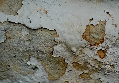 mold mold